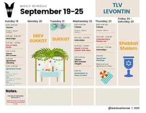 Weekly Updates - September 17, 2021 13 Gap year in israel - aardvarkisrael