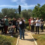 Gap year in israel - aardvarkisrael