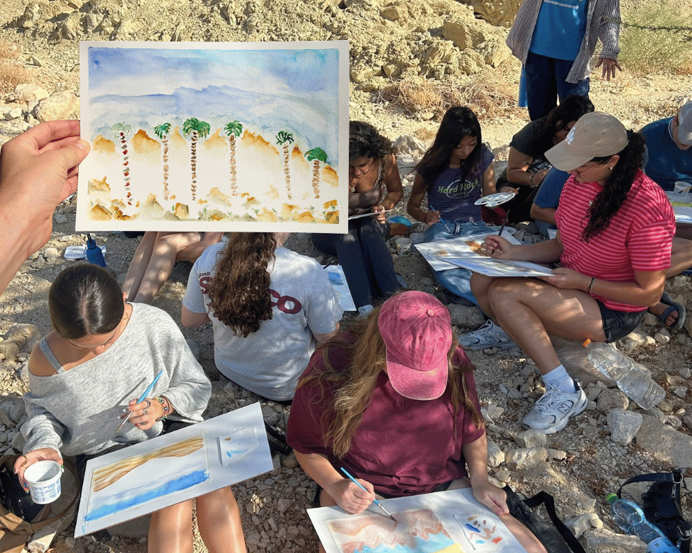 Gap year in israel - aardvarkisrael
