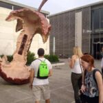 Gap year in israel - aardvarkisrael