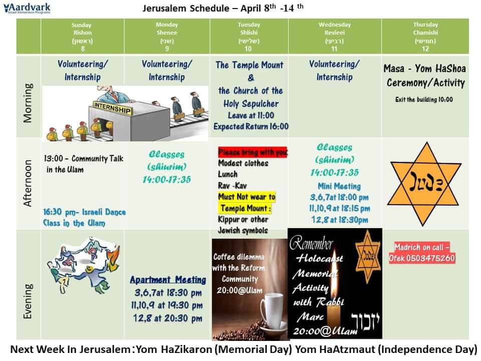 Gap Year in Israel - AardvarkIsrael