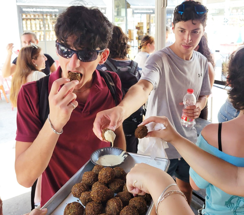 Gap year in israel - aardvarkisrael