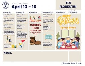 Weekly Updates - April 7, 2022 8 Tlv florentin