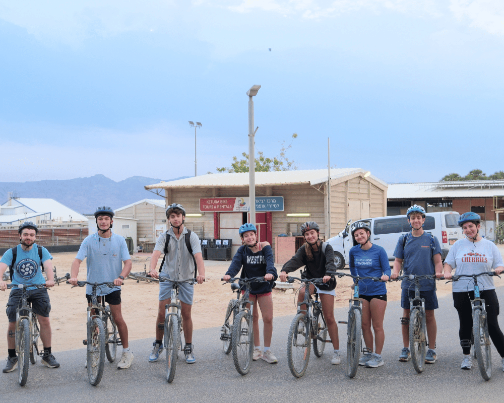 Gap year in israel - aardvarkisrael