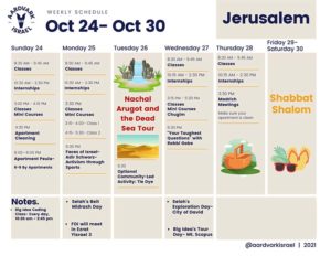 Gap year in israel - aardvarkisrael