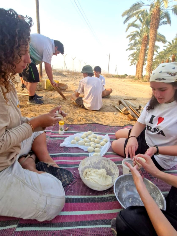 Gap year in israel - aardvarkisrael
