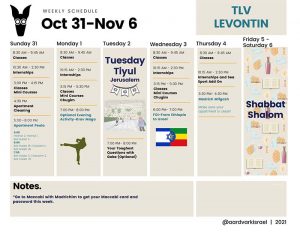 Weekly Updates - October 31, 2021 10 Gap year in israel - aardvarkisrael
