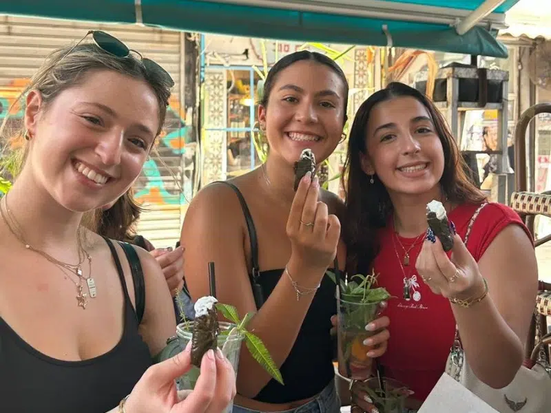 Gap year in israel - aardvarkisrael