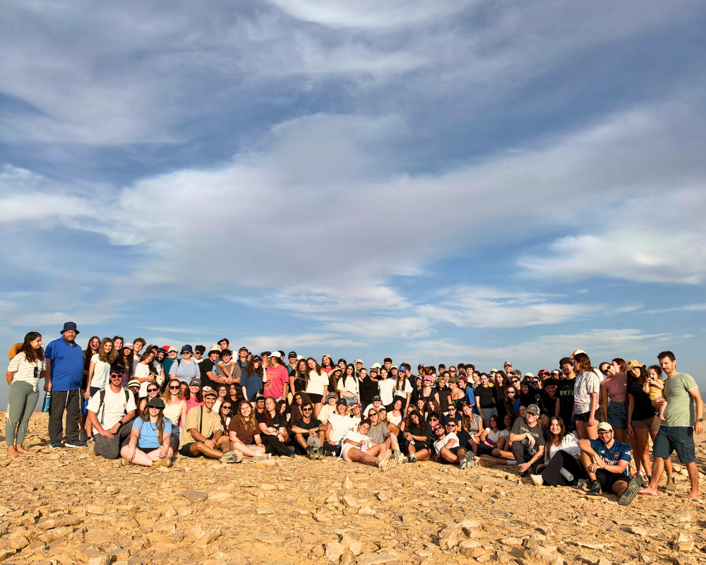 Gap year in israel - aardvarkisrael