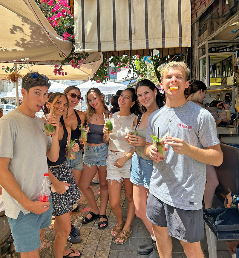 Gap year in israel - aardvarkisrael