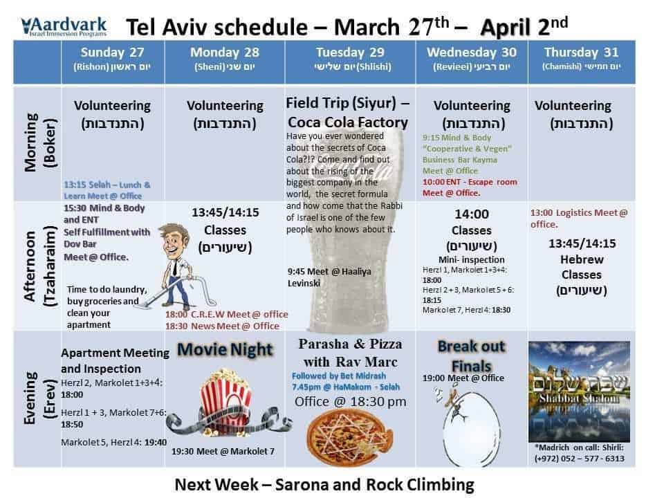 Gap year in israel - aardvarkisrael