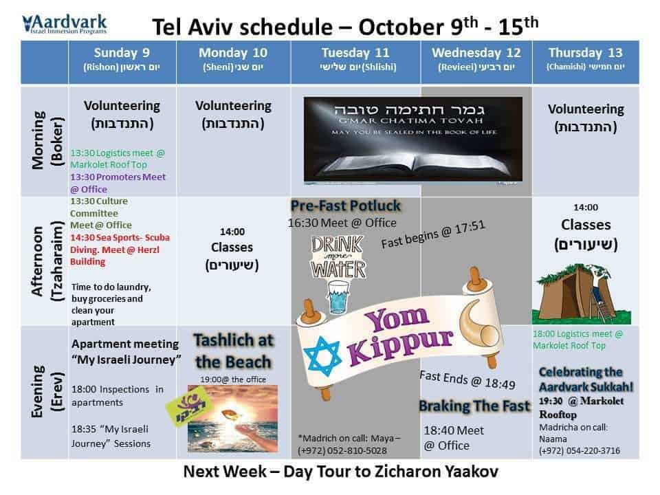 Gap year in israel - aardvarkisrael