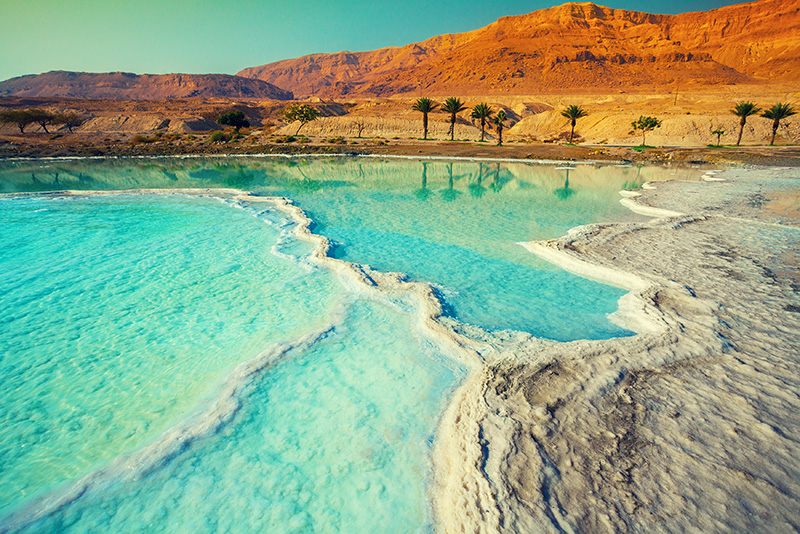 The Future of the Dead Sea