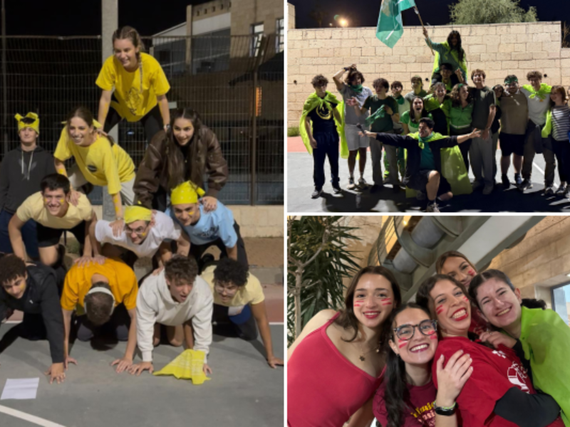 Gap year in israel - aardvarkisrael