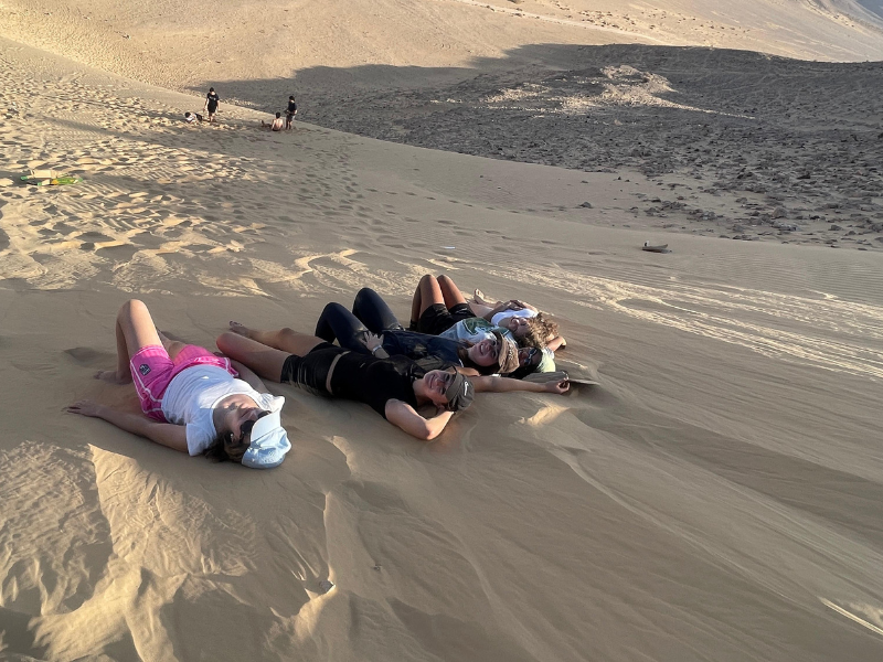 Gap year in israel - aardvarkisrael