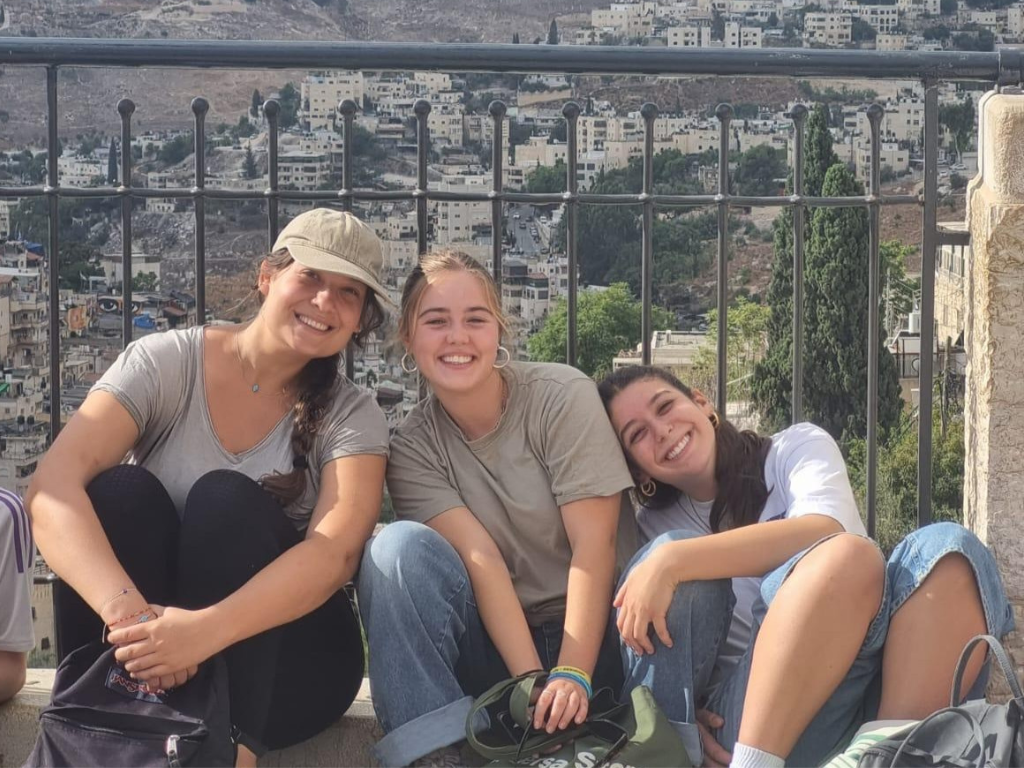 Gap year in israel - aardvarkisrael