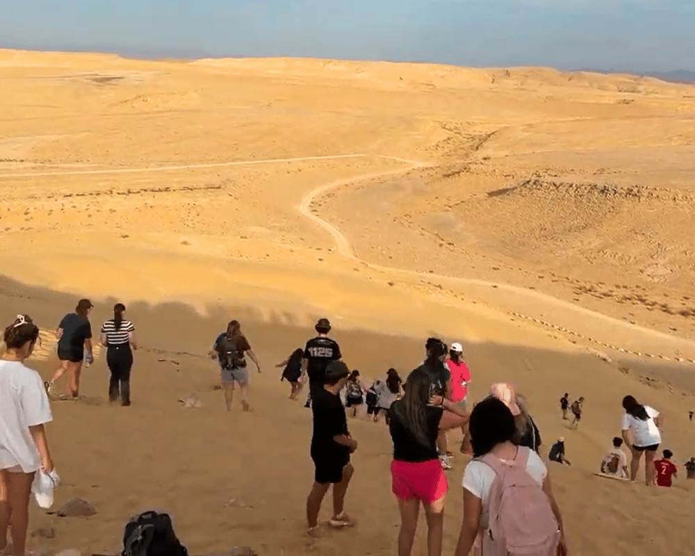 Gap year in israel - aardvarkisrael