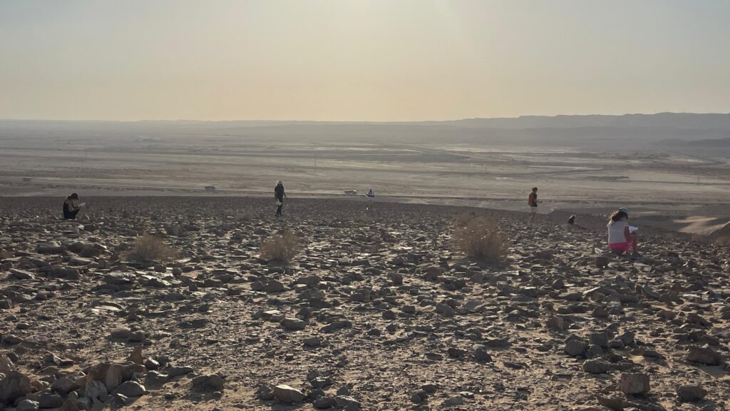 Gap year in israel - aardvarkisrael
