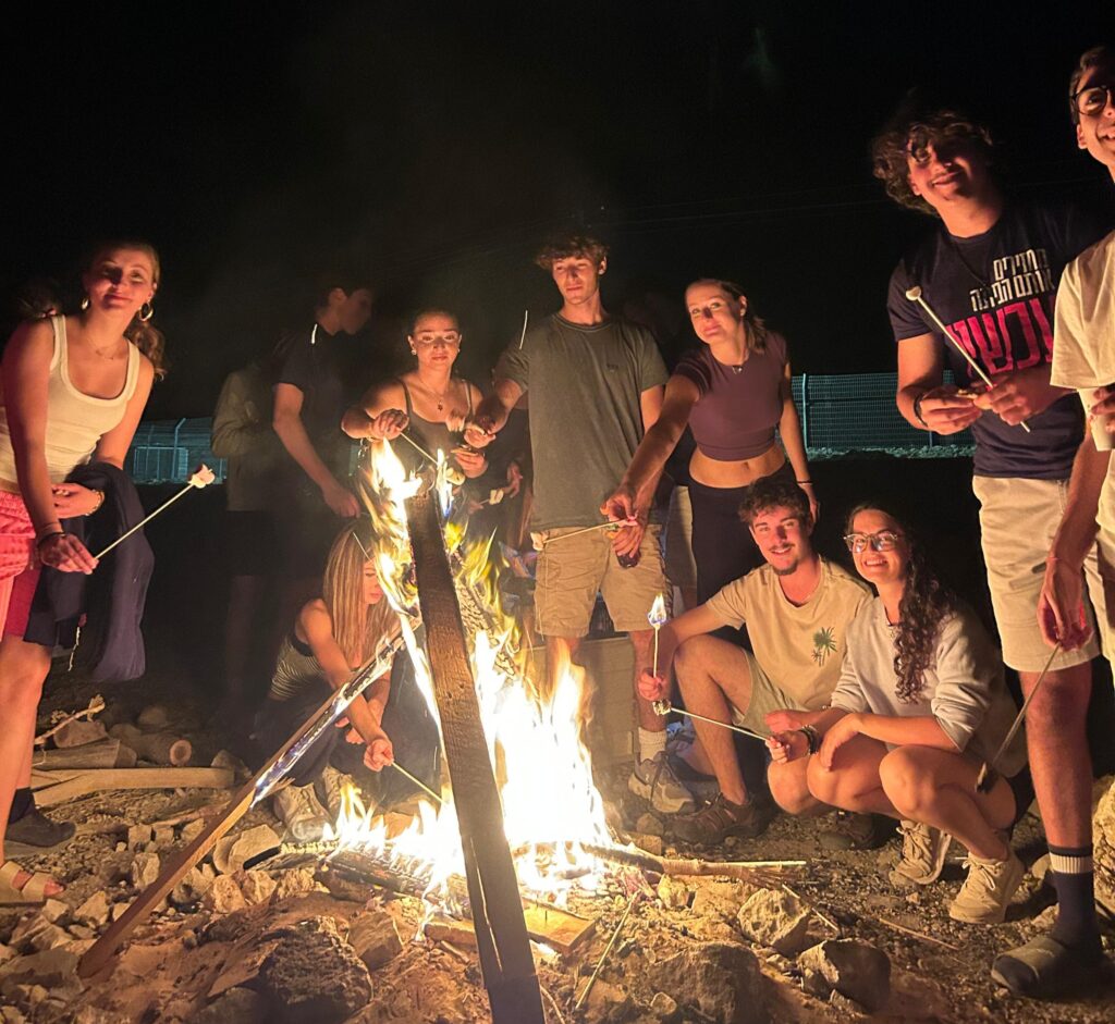 Gap year in israel - aardvarkisrael
