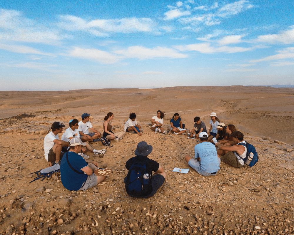 Gap year in israel - aardvarkisrael