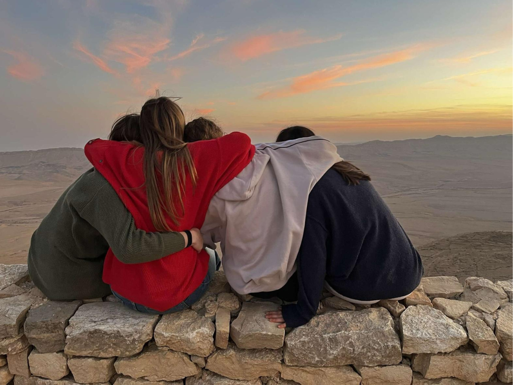 Gap year in israel - aardvarkisrael