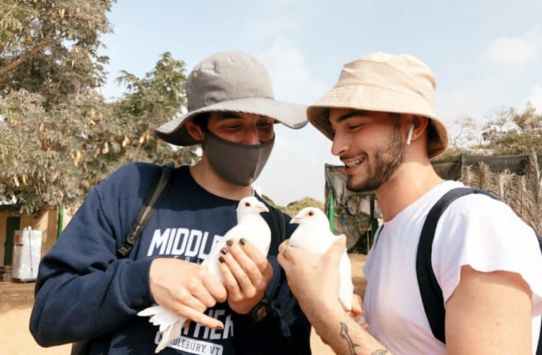 Gap year in israel - aardvarkisrael